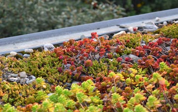 the cost of Butt Yeats green roof installation