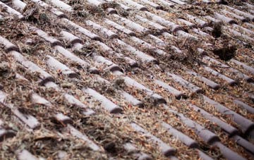 Butt Yeats roof cleaning companies