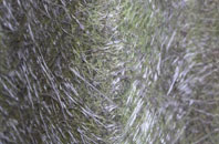 Butt Yeats fibreglass roof work